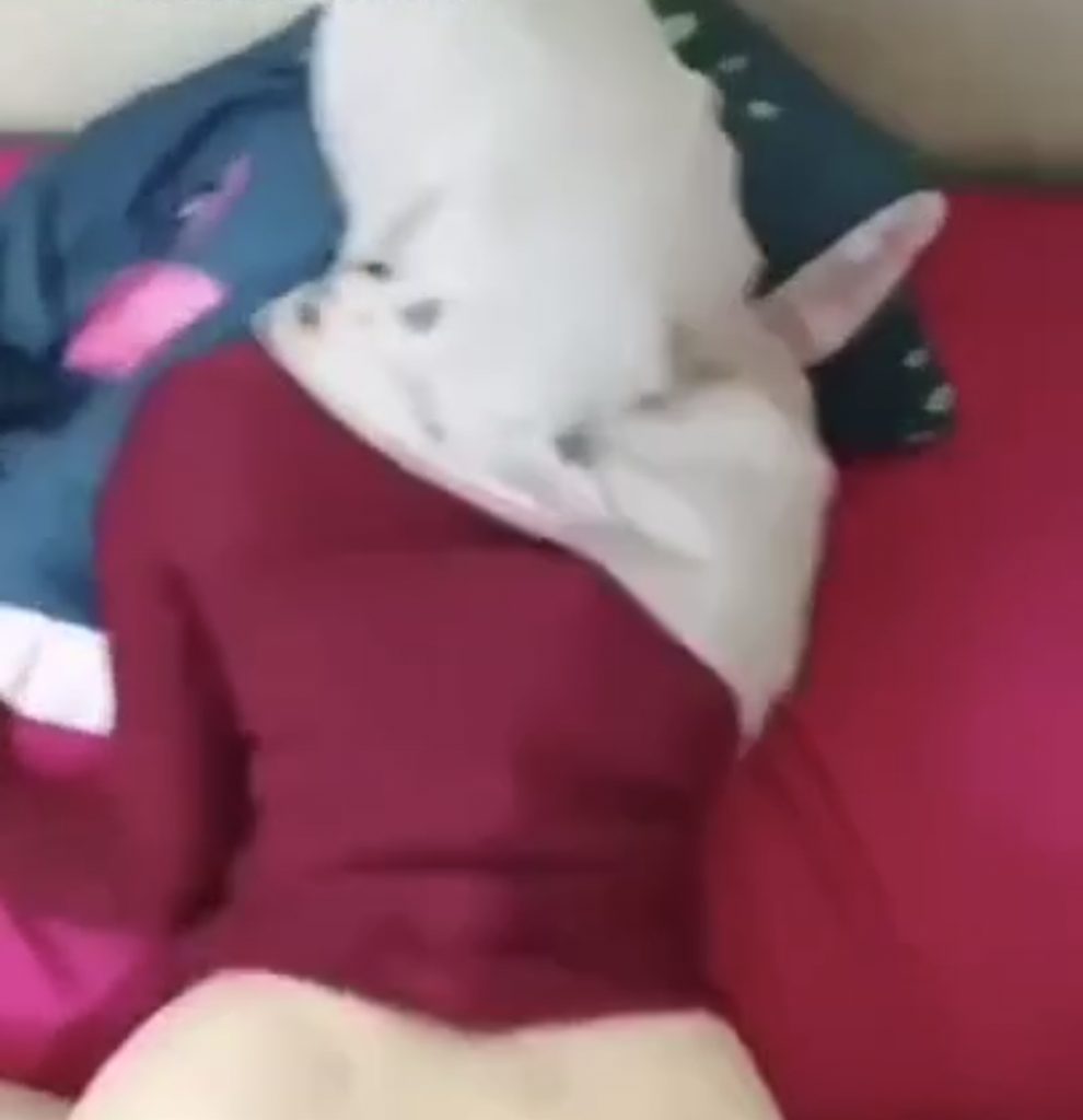 pov hijab dari belakang